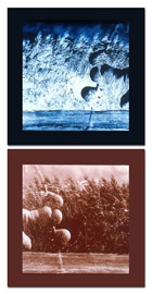 Apology Series, #4