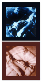 Apology Series, #6