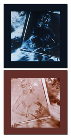 Apology Series, #8