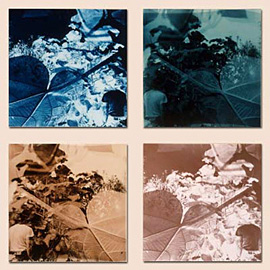 Missing Information, #4