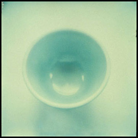 SX-70 Still-Life, #1