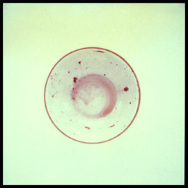 SX-70 Still-Life, #2