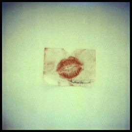 SX-70 Still-Life, #3