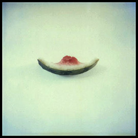 SX-70 Still-Life, #8